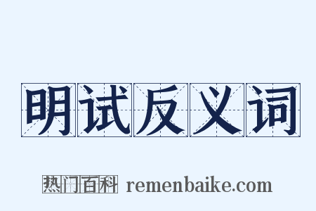 明试反义词是什么意思的图片